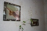 Дизайнер - профессия молодых