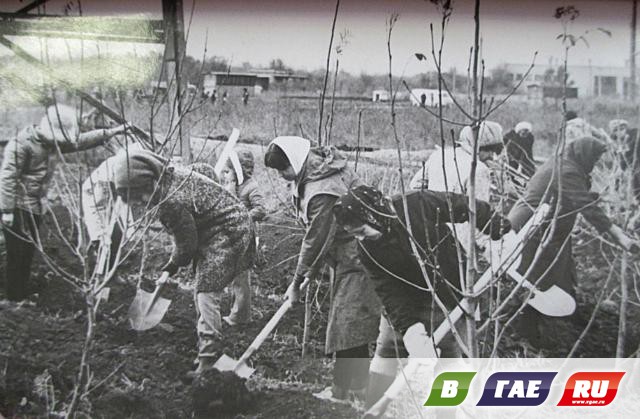 Первые субботники гайчан