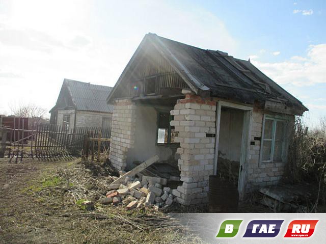 Сады-огороды: раздолье бомжам и мародерам Сады-огороды: раздолье бомжам и мародерам