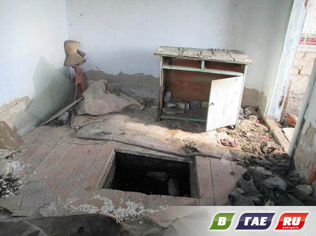Сады-огороды: раздолье бомжам и мародерам Сады-огороды: раздолье бомжам и мародерам