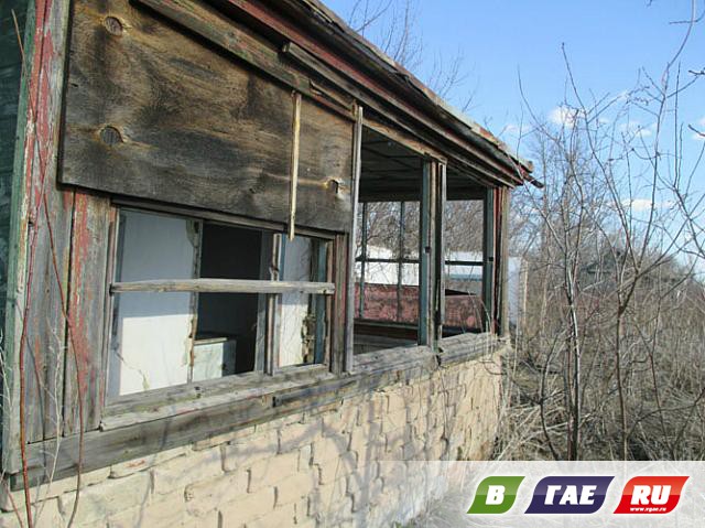 Сады-огороды: раздолье бомжам и мародерам Сады-огороды: раздолье бомжам и мародерам