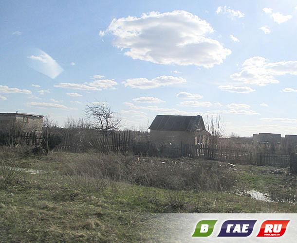 Сады-огороды: раздолье бомжам и мародерам Сады-огороды: раздолье бомжам и мародерам