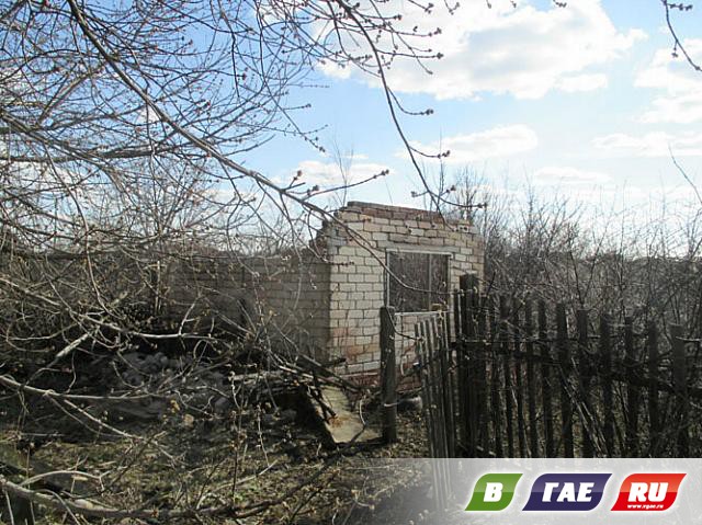 Сады-огороды: раздолье бомжам и мародерам Сады-огороды: раздолье бомжам и мародерам
