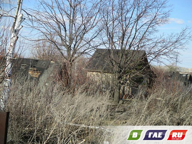 Сады-огороды: раздолье бомжам и мародерам Сады-огороды: раздолье бомжам и мародерам
