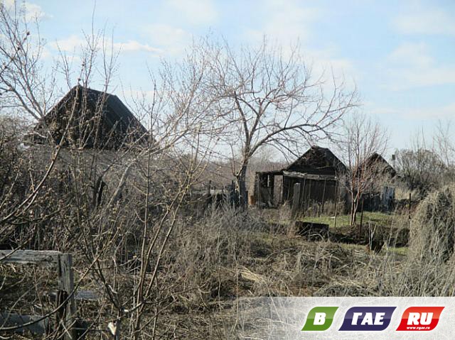 Сады-огороды: раздолье бомжам и мародерам Сады-огороды: раздолье бомжам и мародерам
