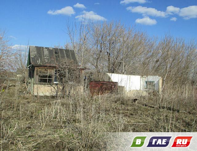 Сады-огороды: раздолье бомжам и мародерам Сады-огороды: раздолье бомжам и мародерам