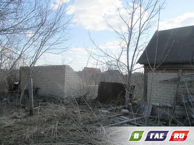 Сады-огороды: раздолье бомжам и мародерам Сады-огороды: раздолье бомжам и мародерам