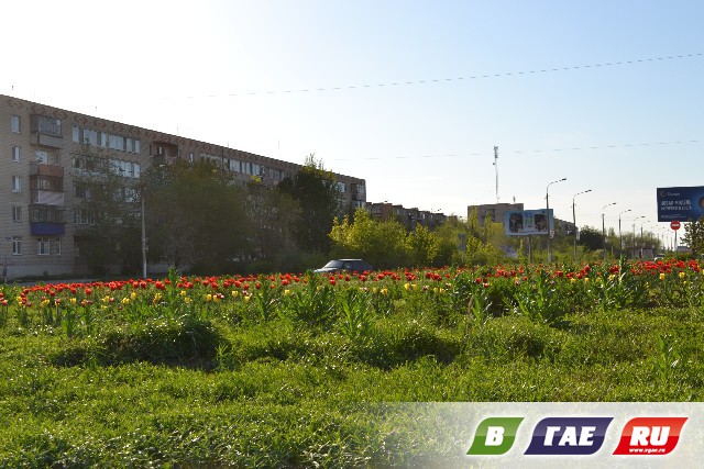 Красивый юбилейный Гай Красивый юбилейный Гай