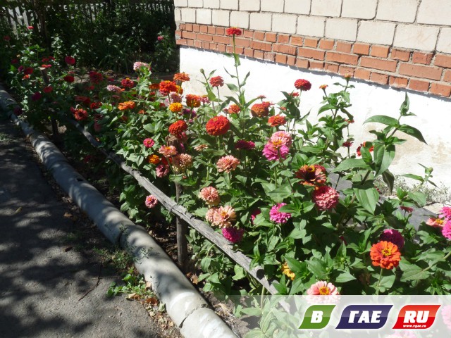 Новониколаевские сюжеты Новониколаевские сюжеты