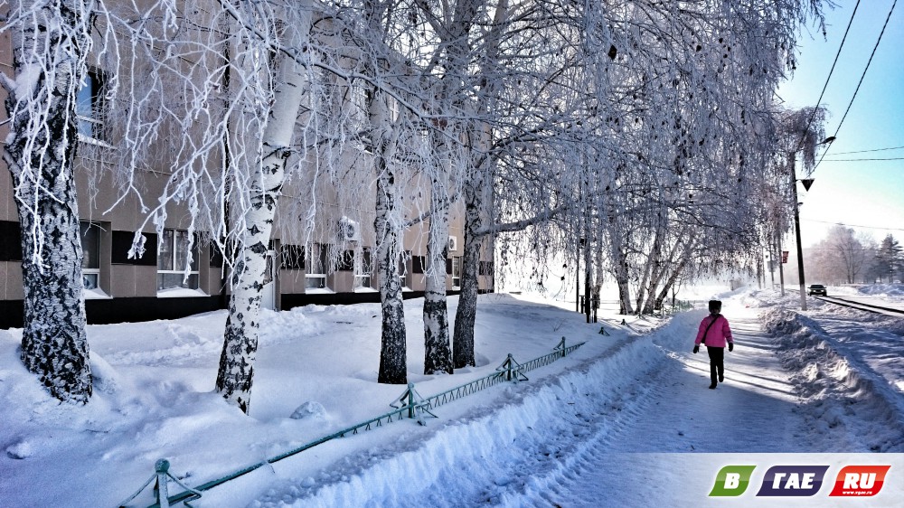 Зимний Гай 2016