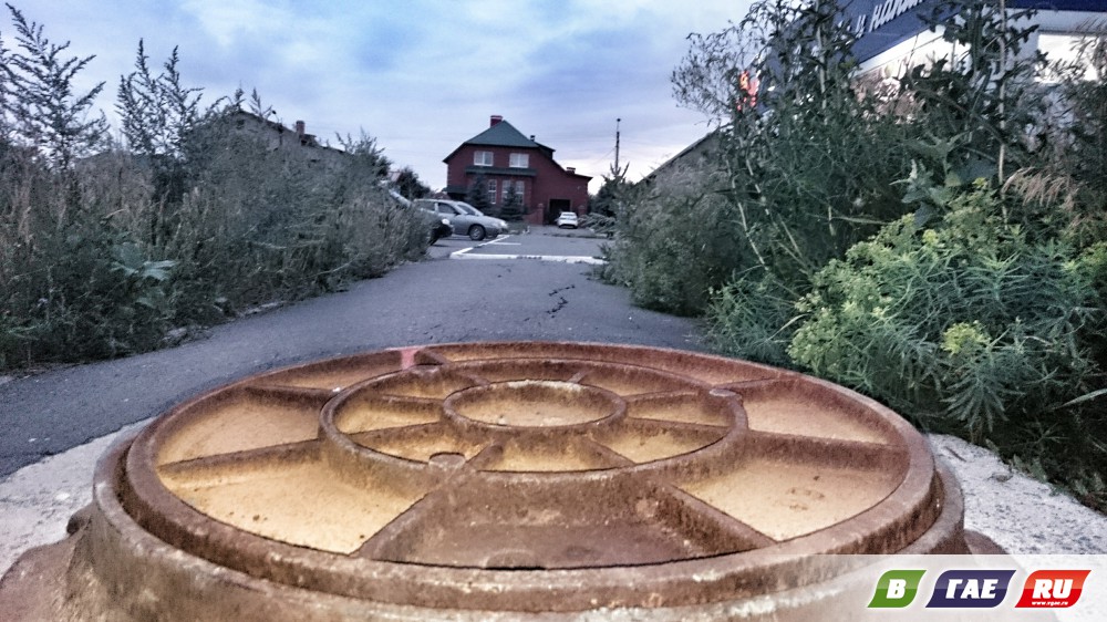 Вспомним лето
