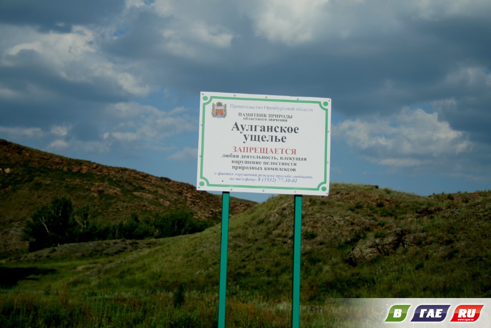 «Ишкиновка» попала в диссертацию «Ишкиновка» попала в диссертацию