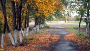 Осень глазами Е. Котымаева