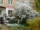 С первым снегом, гайчане!