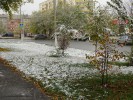 С первым снегом, гайчане!