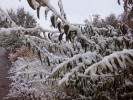 С первым снегом, гайчане!
