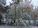 С первым снегом, гайчане!