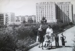 Черно-белая фотоистория Гая