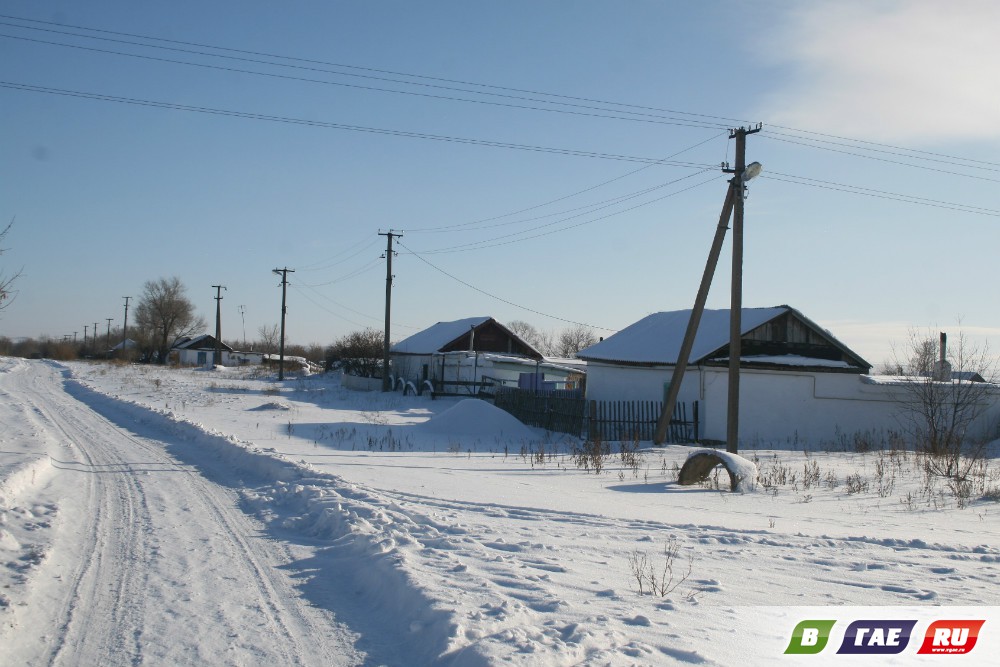 ЗА ПЕТУХОМ! Новогодний репортаж ЗА ПЕТУХОМ! Новогодний репортаж