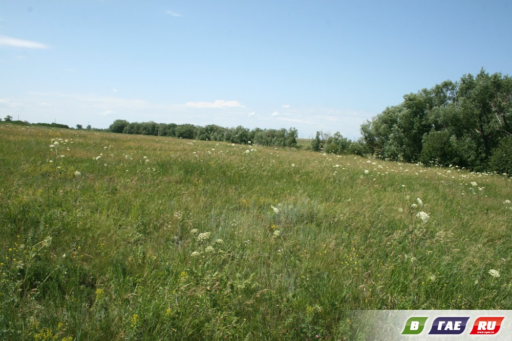 «А душа там, в Оренбуржье!». Рассказ третий