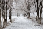 Весенне-зимний Гай от Юрия Гутмана