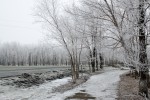 Весенне-зимний Гай от Юрия Гутмана