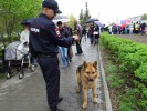 Парад Победы и День Города 2017