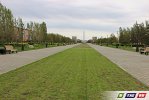 Майские фото зеленого Гая