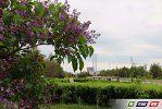 Майские фото зеленого Гая