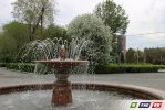 Майские фото зеленого Гая