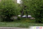Майские фото зеленого Гая