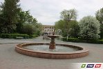 Майские фото зеленого Гая