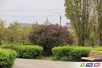Майские фото зеленого Гая