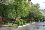 Майские фото зеленого Гая