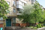 Майские фото зеленого Гая