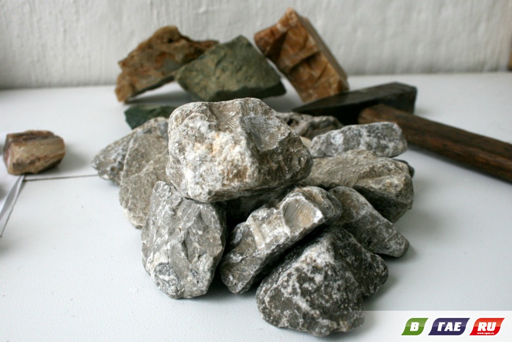 В тёплом девонском море
