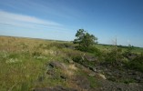 Дерзкая подмена в хранилище минералов