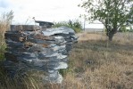 «Златалитовая» лихорадка