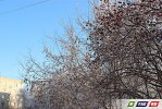 Кто успел, тот посмотрел