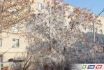 Кто успел, тот посмотрел