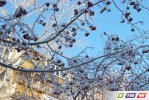 Кто успел, тот посмотрел