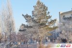 Кто успел, тот посмотрел