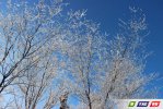 Кто успел, тот посмотрел
