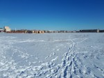 Байки из городского парка