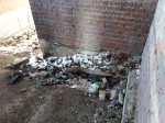 Байки из городского парка