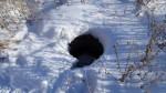 Байки из городского парка