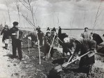 Байки из городского парка