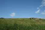 Сокровищница редчайшего металла