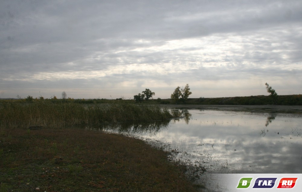 За акулами За акулами