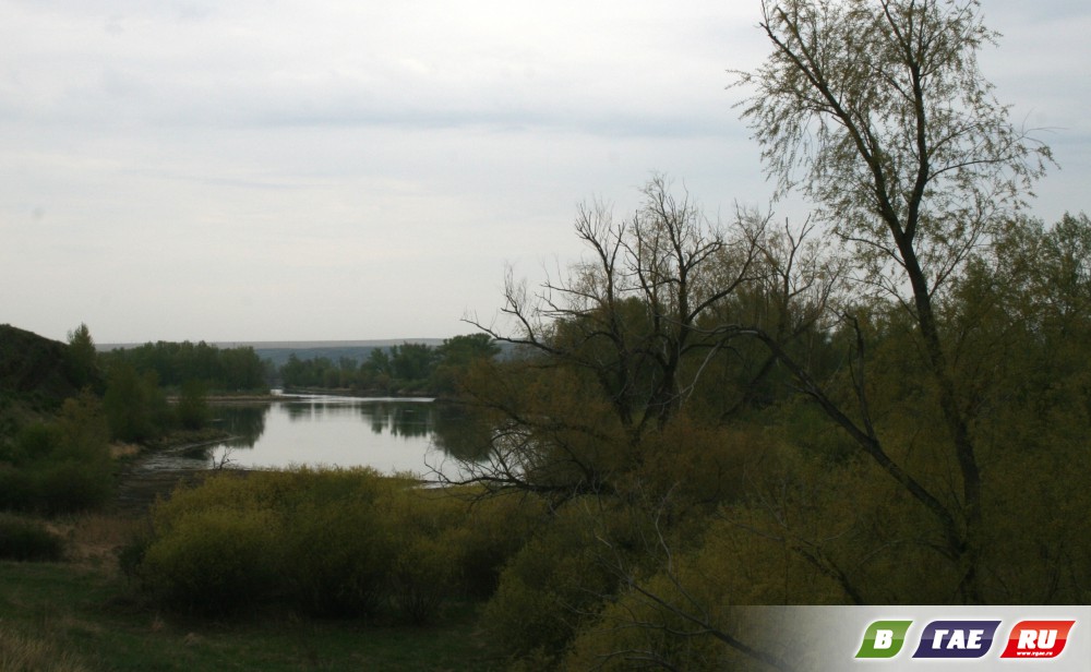 За акулами За акулами